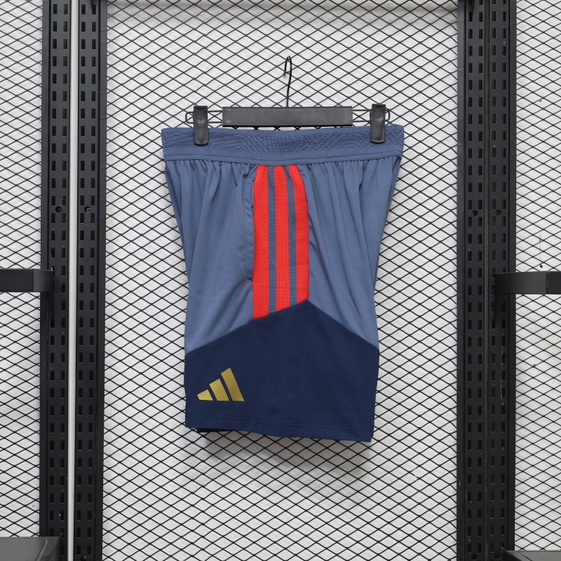 Player Version 26/27 Bayern Munich Grey Shorts with Pockets